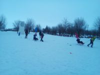 Неделя зимних видов спорта